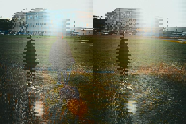 Wildlife Enthusiasts Track Rare Birds During Urban Nighttime Walks